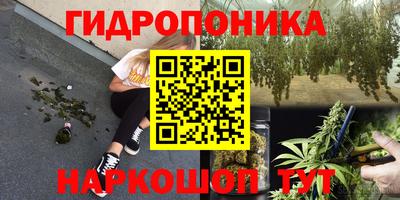 прущие грибы Кимры