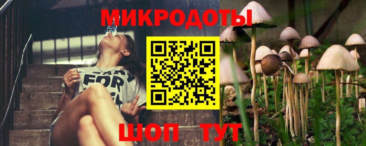 Галлюциногенные грибы ЛСД  Вход с VPN  Энгельс  Галлюциногенные грибы Psilocybe 